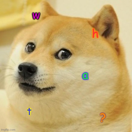 what? | w; h; a; t; ? | image tagged in memes,doge | made w/ Imgflip meme maker