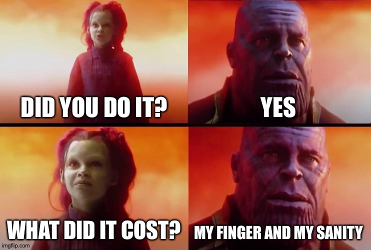 thanos what did it cost | DID YOU DO IT? YES WHAT DID IT COST? MY FINGER AND MY SANITY | image tagged in thanos what did it cost | made w/ Imgflip meme maker
