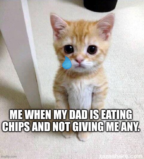Cute Cat Meme |  ME WHEN MY DAD IS EATING CHIPS AND NOT GIVING ME ANY. | image tagged in memes,cute cat | made w/ Imgflip meme maker