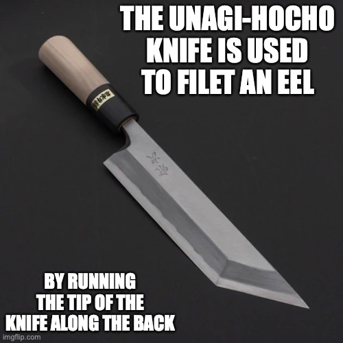 Unagi-hocho | THE UNAGI-HOCHO KNIFE IS USED TO FILET AN EEL; BY RUNNING THE TIP OF THE KNIFE ALONG THE BACK | image tagged in knife,memes | made w/ Imgflip meme maker
