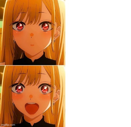 No more drake now we have marin | image tagged in anime | made w/ Imgflip meme maker