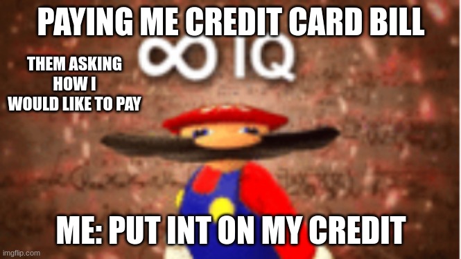 if this worked | PAYING ME CREDIT CARD BILL; THEM ASKING HOW I WOULD LIKE TO PAY; ME: PUT INT ON MY CREDIT | image tagged in infinite iq,bruh,smort,i am smort,lol,hehe | made w/ Imgflip meme maker