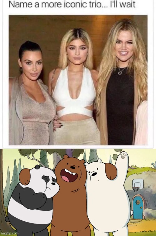 True | image tagged in name a more iconic trio,we bare bears,memes | made w/ Imgflip meme maker