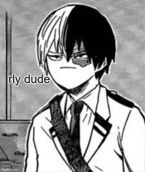 Todoroki rly dude | image tagged in todoroki rly dude | made w/ Imgflip meme maker