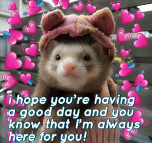 So I'm taking a break for a week or so ily guys :3 see you guys soon :) | made w/ Imgflip meme maker