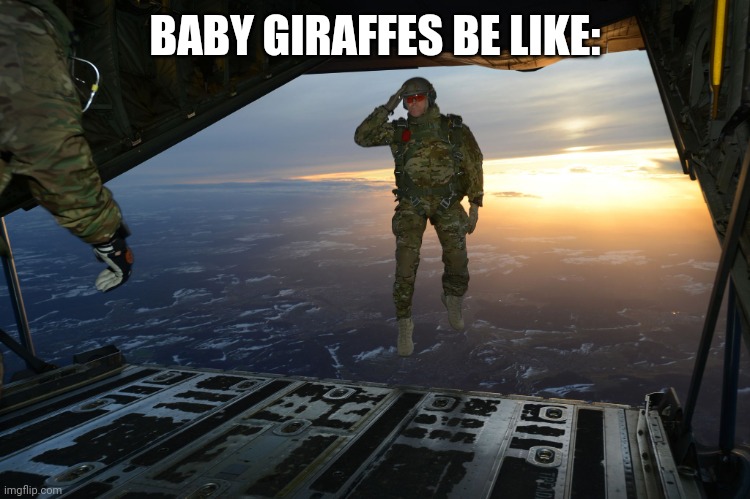 Army soldier jumping out of plane | BABY GIRAFFES BE LIKE: | image tagged in army soldier jumping out of plane | made w/ Imgflip meme maker