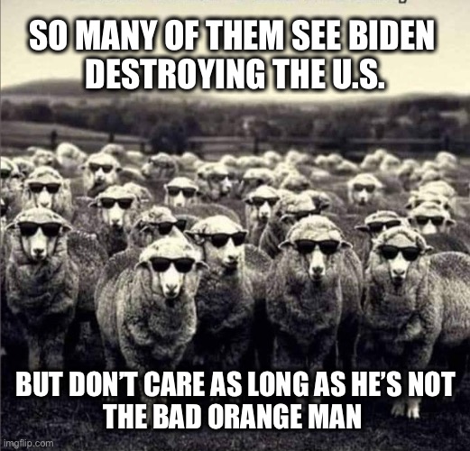 It’s okay, he’s not Trump | SO MANY OF THEM SEE BIDEN 
DESTROYING THE U.S. BUT DON’T CARE AS LONG AS HE’S NOT
THE BAD ORANGE MAN | image tagged in sheep | made w/ Imgflip meme maker