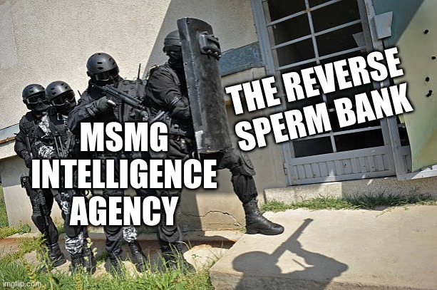 THE REVERSE SPERM BANK MSMG INTELLIGENCE AGENCY | made w/ Imgflip meme maker