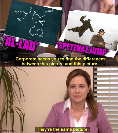 -Destroy the target. | *AL-LAD*; *SPETZNAZ JUMP* | image tagged in memes,they're the same picture,soldier jump spetznaz,organic chemistry,totally looks like,x all the y | made w/ Imgflip meme maker