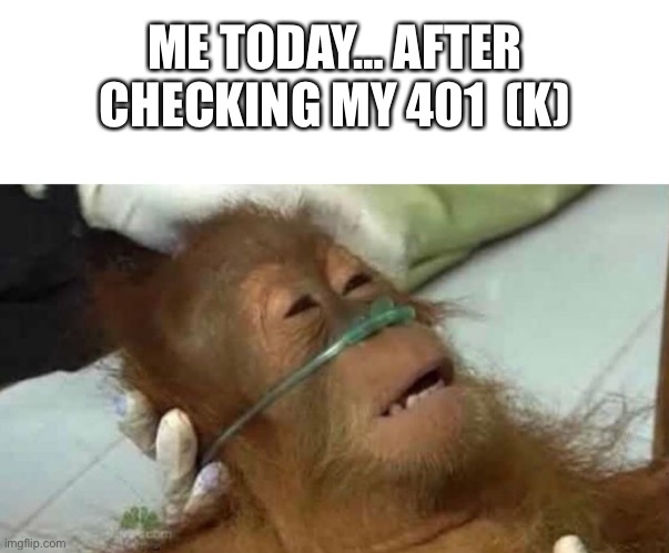 Me Today… | ME TODAY… AFTER CHECKING MY 401  (K) | image tagged in orangutan,oxygen,sad,invest | made w/ Imgflip meme maker
