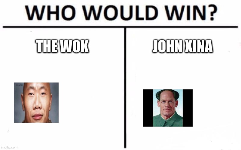 the wok vs. john xina. comment who would win and why | THE WOK; JOHN XINA | image tagged in memes,who would win | made w/ Imgflip meme maker