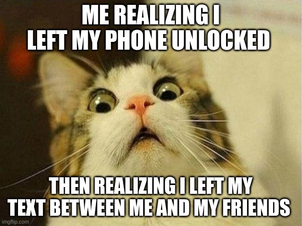 Scared Cat Meme | ME REALIZING I LEFT MY PHONE UNLOCKED; THEN REALIZING I LEFT MY TEXT BETWEEN ME AND MY FRIENDS | image tagged in memes,scared cat | made w/ Imgflip meme maker