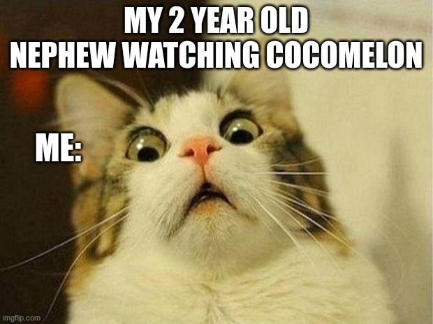 Scared Cat Meme | MY 2 YEAR OLD NEPHEW WATCHING COCOMELON; ME: | image tagged in memes,scared cat | made w/ Imgflip meme maker