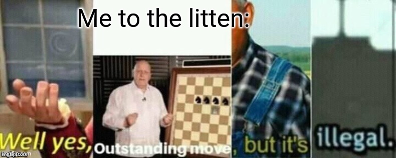 well yes, outstanding move, but it's illegal. | Me to the litten: | image tagged in well yes outstanding move but it's illegal | made w/ Imgflip meme maker