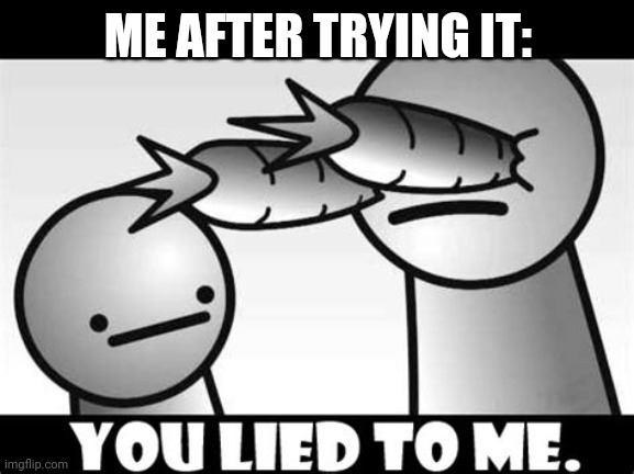 You lied to me. | ME AFTER TRYING IT: | image tagged in you lied to me | made w/ Imgflip meme maker