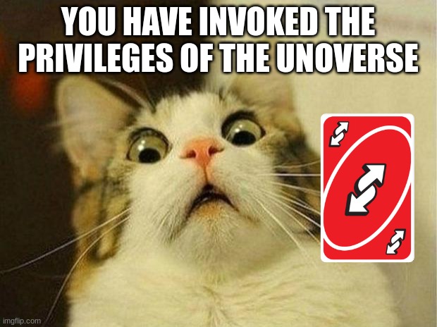 hehe | YOU HAVE INVOKED THE PRIVILEGES OF THE UNOVERSE | image tagged in memes,scared cat | made w/ Imgflip meme maker