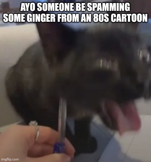 When the | AYO SOMEONE BE SPAMMING SOME GINGER FROM AN 80S CARTOON | image tagged in when the | made w/ Imgflip meme maker