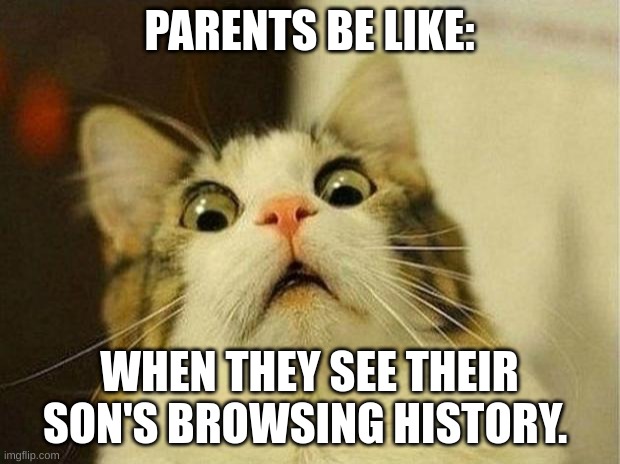 Scared Cat |  PARENTS BE LIKE:; WHEN THEY SEE THEIR SON'S BROWSING HISTORY. | image tagged in memes,scared cat | made w/ Imgflip meme maker