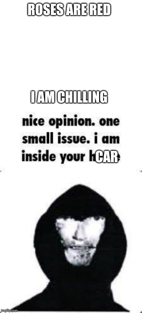 Ok | ROSES ARE RED; I AM CHILLING; CAR | image tagged in blank white template,nice opinion | made w/ Imgflip meme maker