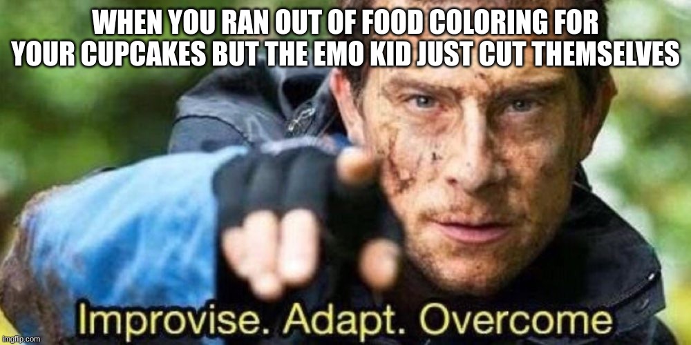 i know quite a few of them myself | WHEN YOU RAN OUT OF FOOD COLORING FOR YOUR CUPCAKES BUT THE EMO KID JUST CUT THEMSELVES | image tagged in improvise adapt overcome,emo,cupcakes | made w/ Imgflip meme maker