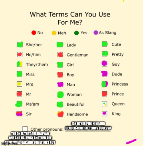 my pronouns i guess? | IDK OTHER FEMININE AND GENDER-NEUTRAL TERMS I GUESS? THE ONES THAT ARE HALFWAY ONE AND HALFWAY ANOTHER ARE SOMETIMES OAK AND SOMETIMES NOT | image tagged in pronouns sheet | made w/ Imgflip meme maker