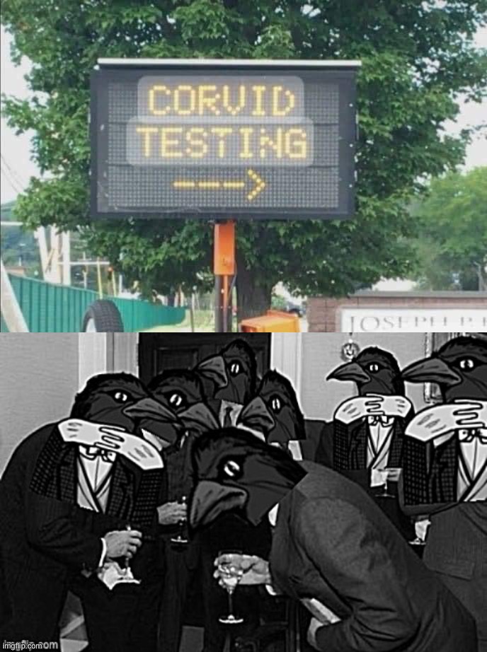 Corvidae is a cosmopolitan family of oscine passerine birds which contains crows, ravens, rooks, jays, and jackdaws — allegedly | image tagged in c,o,r,v,i,d | made w/ Imgflip meme maker