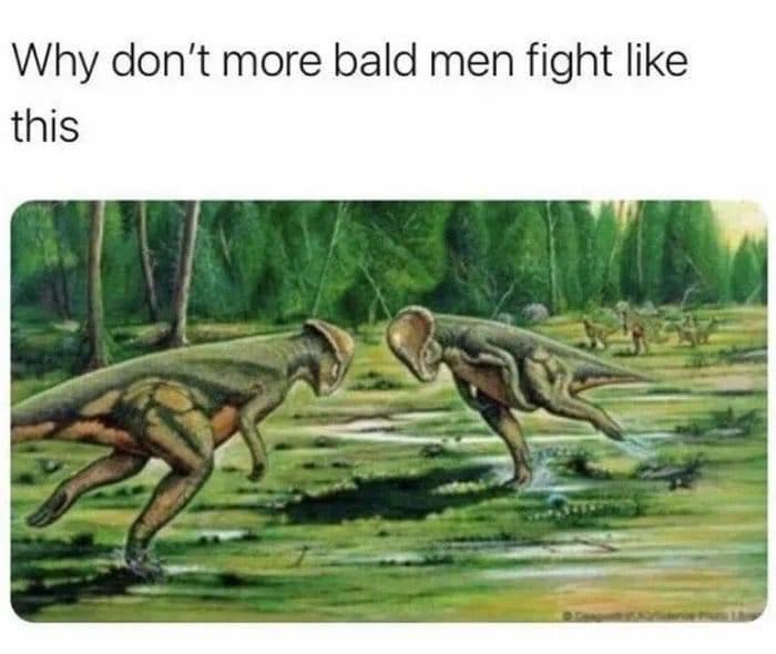 Why don’t more bald men fight like this Blank Meme Template