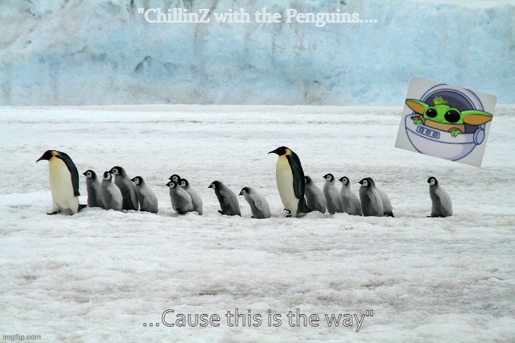 Cruizin' with the mighty Pengues |  "ChillinZ with the Penguins.... ...Cause this is the way" | image tagged in baby yoda,penguins,winter,snow | made w/ Imgflip meme maker