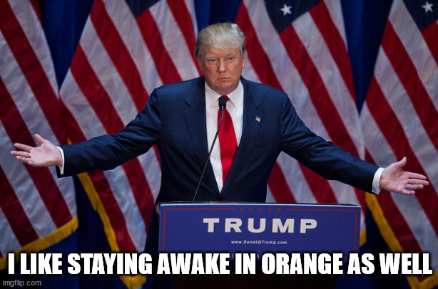 Donald Trump | I LIKE STAYING AWAKE IN ORANGE AS WELL | image tagged in donald trump | made w/ Imgflip meme maker