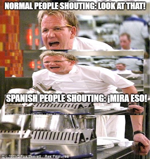 Shout, please! | NORMAL PEOPLE SHOUTING: LOOK AT THAT! SPANISH PEOPLE SHOUTING: ¡MIRA ESO! | image tagged in gordon ramsay it's raw | made w/ Imgflip meme maker