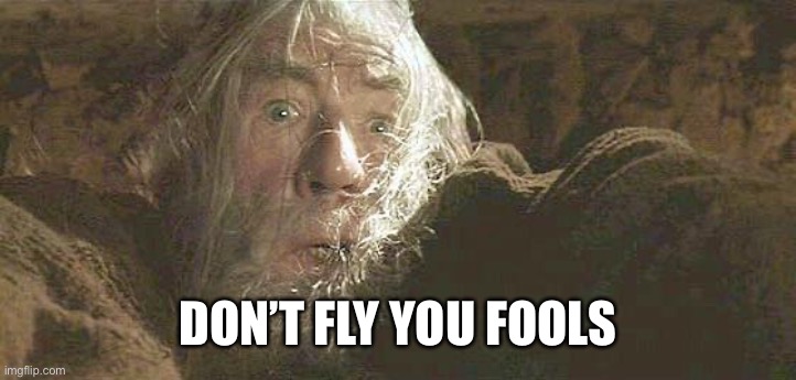 Gandalf Fly You Fools | DON’T FLY YOU FOOLS | image tagged in gandalf fly you fools | made w/ Imgflip meme maker