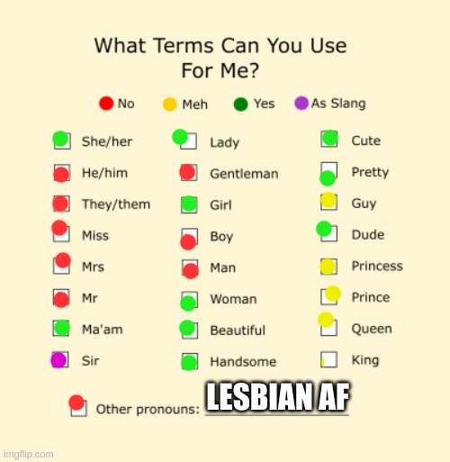 Pronouns Sheet | LESBIAN AF | image tagged in pronouns sheet | made w/ Imgflip meme maker