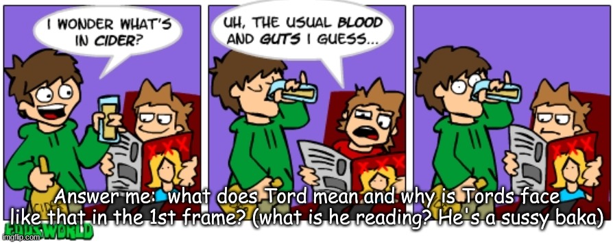 I wanna know... | Answer me:  what does Tord mean and why is Tords face like that in the 1st frame? (what is he reading? He's a sussy baka) | image tagged in eddsworld | made w/ Imgflip meme maker