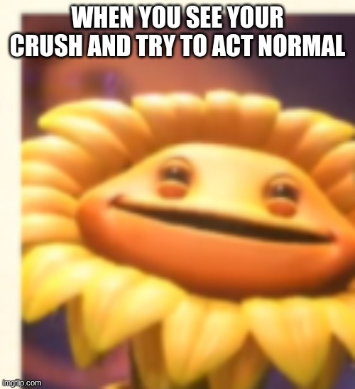 SUNFLOWER!!!!!!!!! | WHEN YOU SEE YOUR CRUSH AND TRY TO ACT NORMAL | image tagged in sunflower | made w/ Imgflip meme maker