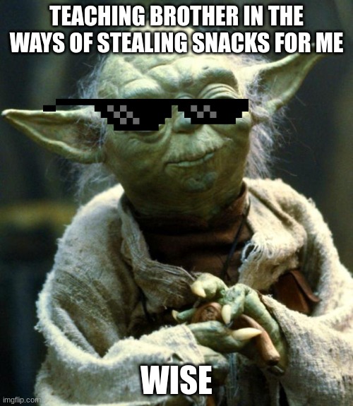 Star Wars Yoda | TEACHING BROTHER IN THE WAYS OF STEALING SNACKS FOR ME; WISE | image tagged in memes,star wars yoda | made w/ Imgflip meme maker