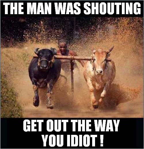 The Last Picture He Ever Took ! | THE MAN WAS SHOUTING; GET OUT THE WAY 
YOU IDIOT ! | image tagged in the last picture he ever took,idiots | made w/ Imgflip meme maker