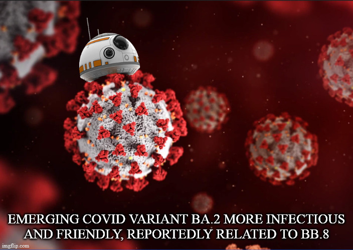 new covid variant | EMERGING COVID VARIANT BA.2 MORE INFECTIOUS AND FRIENDLY, REPORTEDLY RELATED TO BB.8 | image tagged in star wars,bb8,covid,ba2 | made w/ Imgflip meme maker