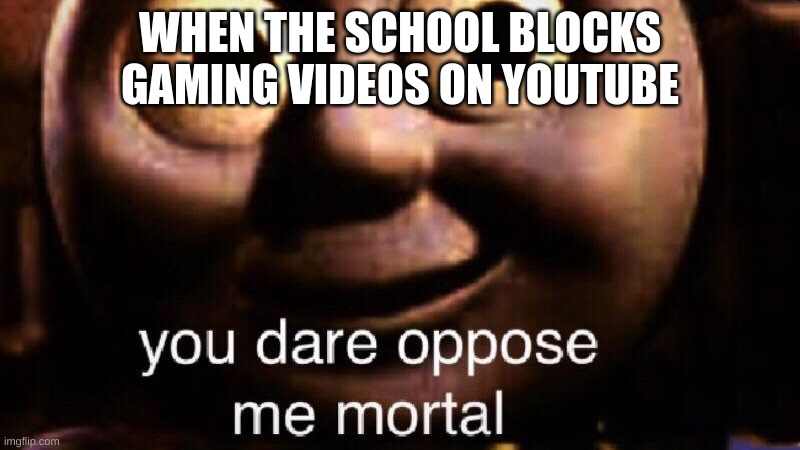 Upvote if you can relate | WHEN THE SCHOOL BLOCKS GAMING VIDEOS ON YOUTUBE | image tagged in you dare oppose me mortal,relatable,school,youtube,videos,blocked | made w/ Imgflip meme maker