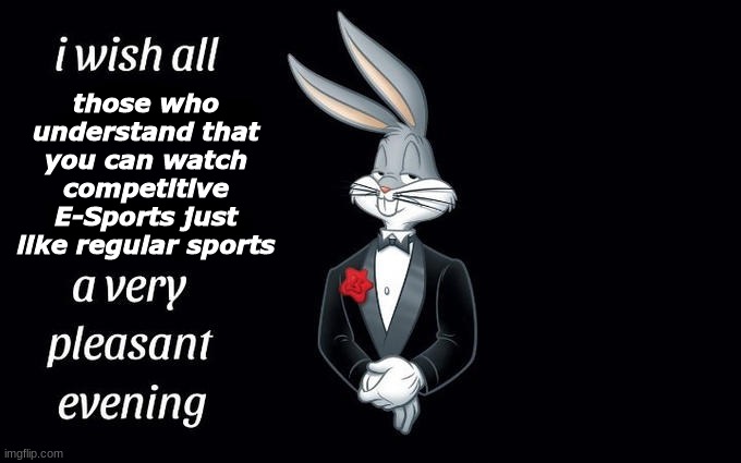 i wish... | those who understand that you can watch competitive E-Sports just like regular sports | image tagged in i wish all the x a very pleasant evening,e sports,video games | made w/ Imgflip meme maker