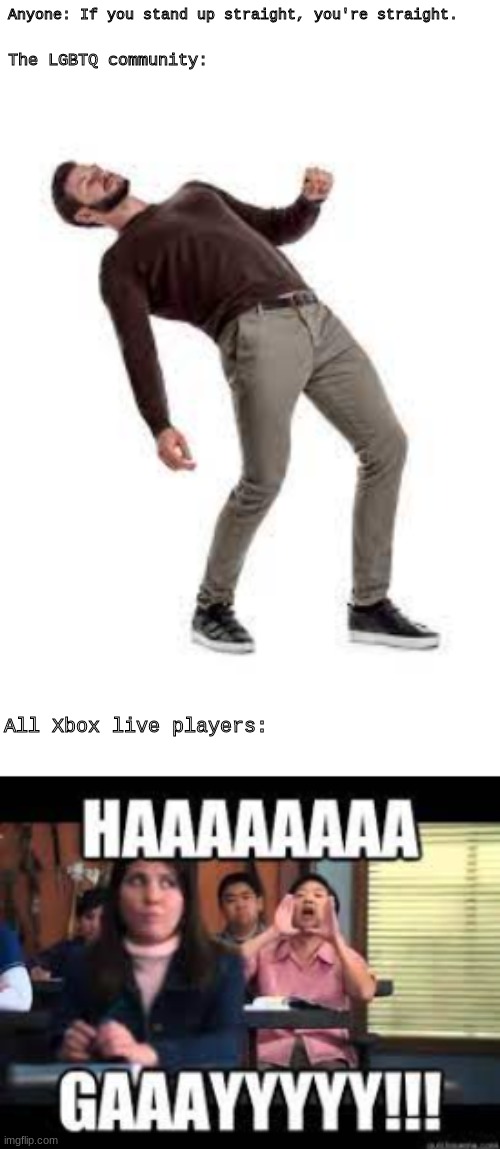 GAYYYYYY | Anyone: If you stand up straight, you're straight. The LGBTQ community:; All Xbox live players: | image tagged in funny memes | made w/ Imgflip meme maker