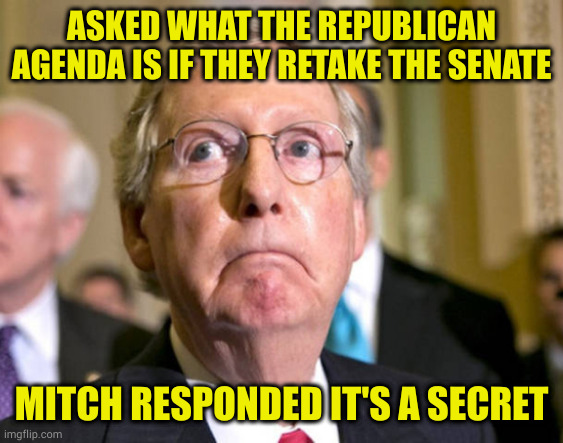 Hint: what's more tax breaks for the already rich? Everything else? Not important | ASKED WHAT THE REPUBLICAN AGENDA IS IF THEY RETAKE THE SENATE; MITCH RESPONDED IT'S A SECRET | image tagged in mitch mcconnell | made w/ Imgflip meme maker