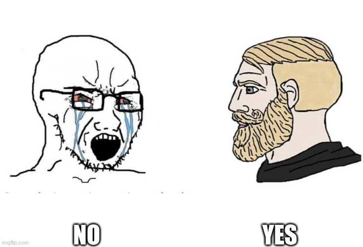 yes | YES; NO | image tagged in soyboy vs yes chad | made w/ Imgflip meme maker