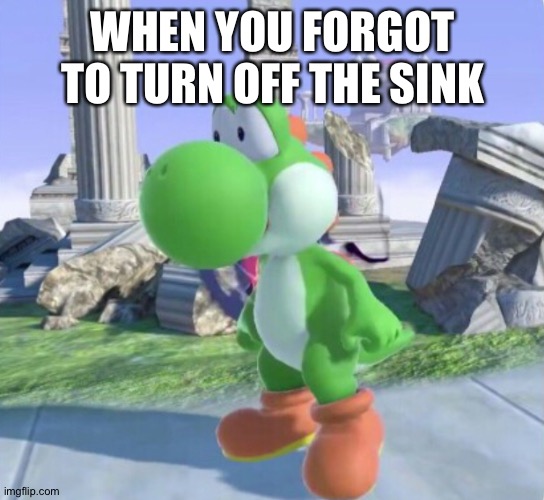 Oh No Yoshi | WHEN YOU FORGOT TO TURN OFF THE SINK | image tagged in oh no yoshi | made w/ Imgflip meme maker