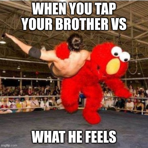 Sibling memes | WHEN YOU TAP YOUR BROTHER VS; WHAT HE FEELS | image tagged in elmo wrestling | made w/ Imgflip meme maker
