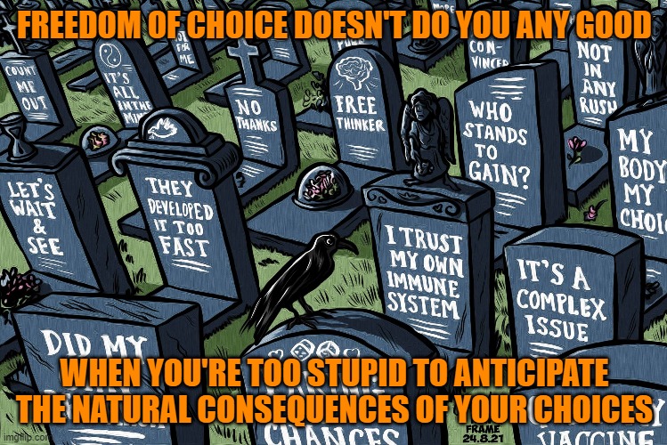 Freedom - Use It Well, Or We're All Going To Lose It | FREEDOM OF CHOICE DOESN'T DO YOU ANY GOOD; WHEN YOU'RE TOO STUPID TO ANTICIPATE THE NATURAL CONSEQUENCES OF YOUR CHOICES | image tagged in vaccines,pro-choice,poor choices,consequences,prediction,prophecy | made w/ Imgflip meme maker