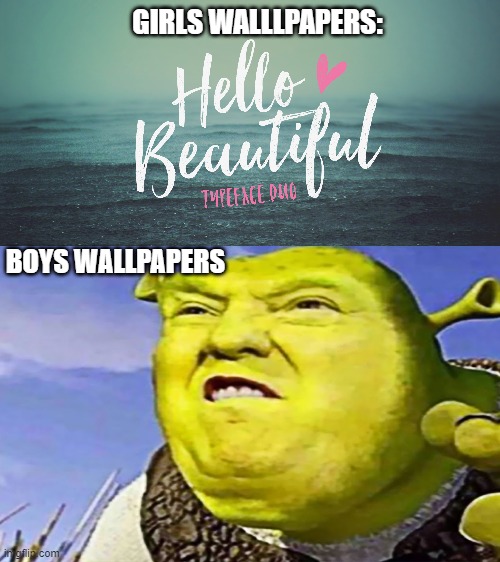 GIRLS WALLLPAPERS:; BOYS WALLPAPERS | image tagged in solid black background | made w/ Imgflip meme maker