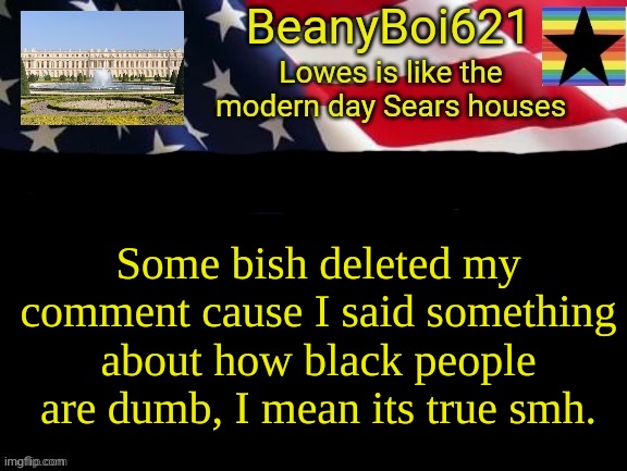 mega /srs like i have never been so /srs in my life | Some bish deleted my comment cause I said something about how black people are dumb, I mean its true smh. | image tagged in american beany | made w/ Imgflip meme maker