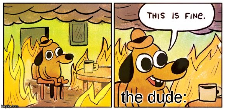 This Is Fine Meme | the dude: | image tagged in memes,this is fine | made w/ Imgflip meme maker