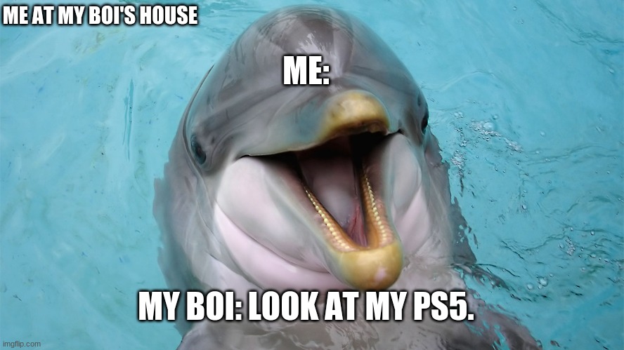ME:; ME AT MY BOI'S HOUSE; MY BOI: LOOK AT MY PS5. | image tagged in ps5,dolphin | made w/ Imgflip meme maker