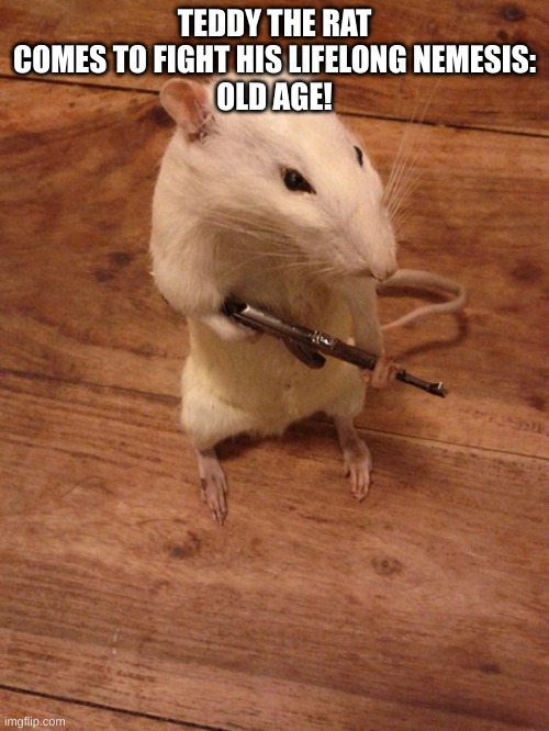 Rebellious Rat | TEDDY THE RAT COMES TO FIGHT HIS LIFELONG NEMESIS:
OLD AGE! | image tagged in rebellious rat | made w/ Imgflip meme maker